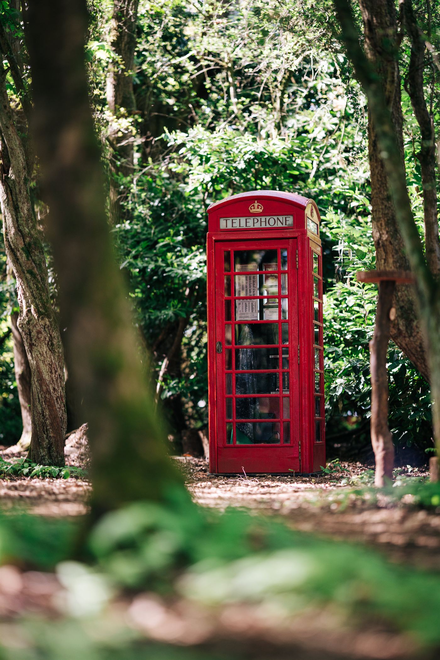 A red British telephone box stands in the woods at the start of the Lamp Post escape room