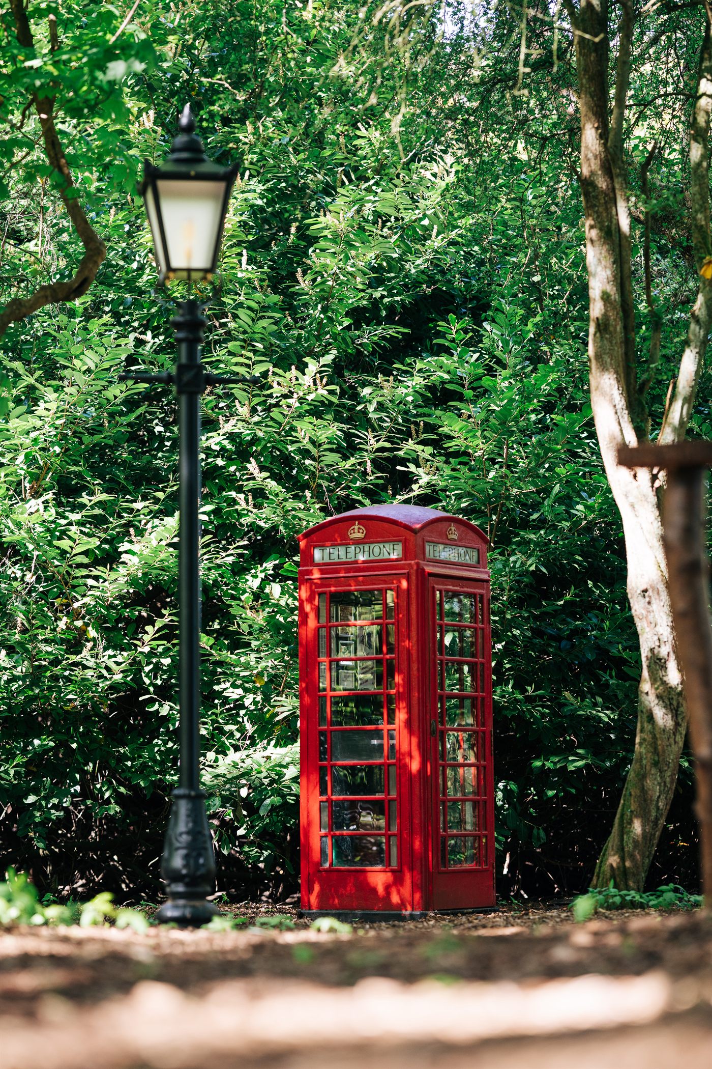 A red telephone box stands beside a black Victorian lamp post in the lush green woodland at Cedar Hollow. These are the two magical backgrounds available in the Cloak of Invisibility app.