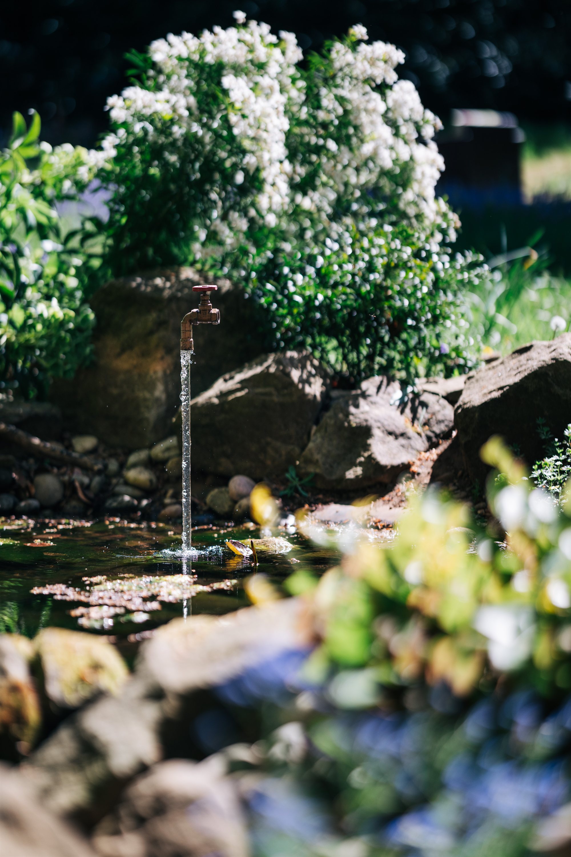 A floating tap pours an unending stream of water into a pond at the Cedar Hollow Illusion Trail