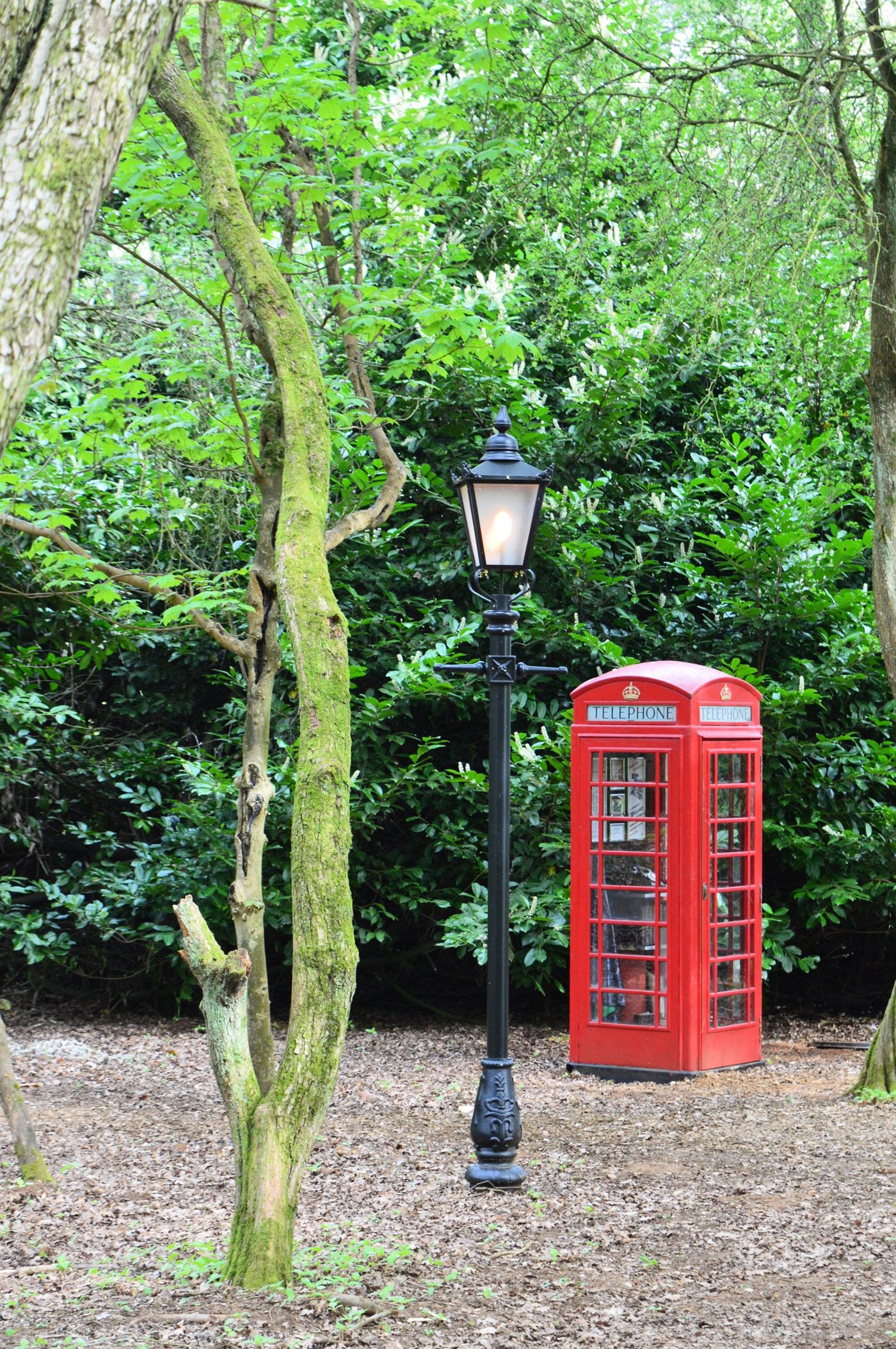 A red 1920s telephone box stands beneath a Victorian-style lamp post in the green Eastern Woods at Cedar Hollow. This is the physical centrepiece of the Call Beyond the Lamp Post escape room.